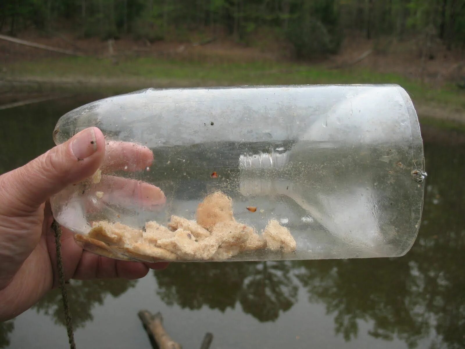 Приманка для рыбы своими руками Soda bottle minnow trap--------made these as a kid and caught my own bait fish! 