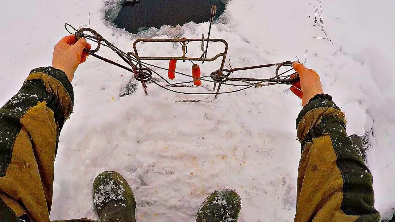 Приманка на бобра своими руками без струи Как работает приманка МОРКОВЬ в январе ЧАСТЬ2.Охота на бобра(Будни охотника и ры