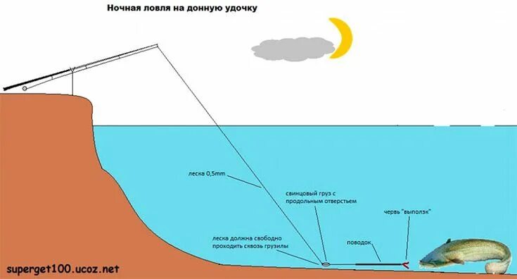 Приманка на сома своими руками Ловля сома с берега, выбор места, снасти и приманки Сомали, Хитрости рыбалки, Ру