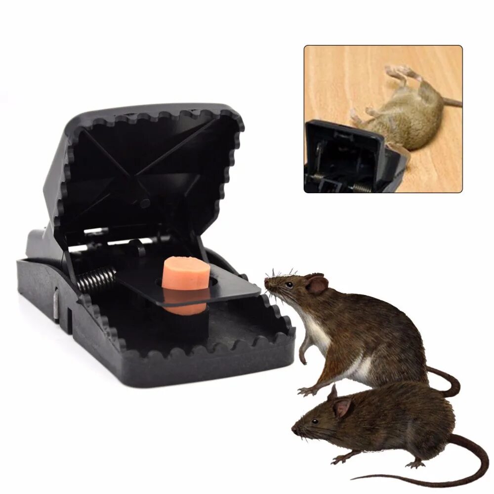 Приманка в мышеловку для мышей какая лучше Reusable Powerful Rodent Killer Mouse Trap Mole Repeller Mice Rat Trap Control M