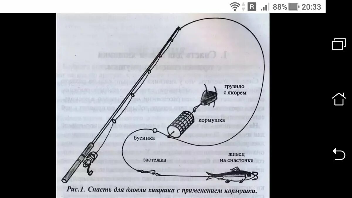 Применение оснастки Фидер на хищника: Как ловить щуку на фидер + схема, монтаж Фото заметки из моей 