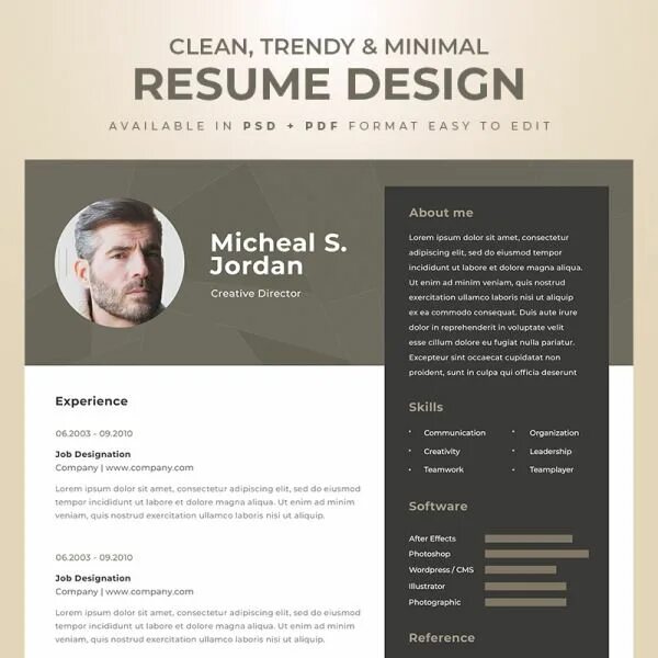 Пример резюме дизайнера интерьера Creative Designer Professional Resume Template Resume template professional, Res