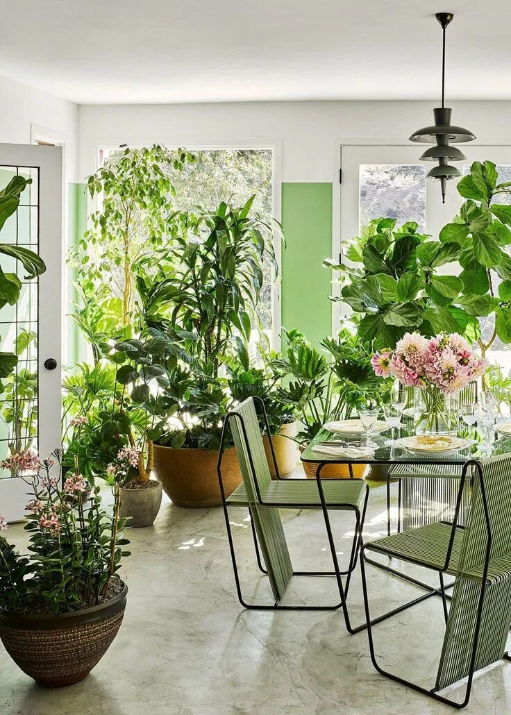 Пример цветов в интерьере greenhouse dining room with mod furniture and tons of plants coco kelley #dining