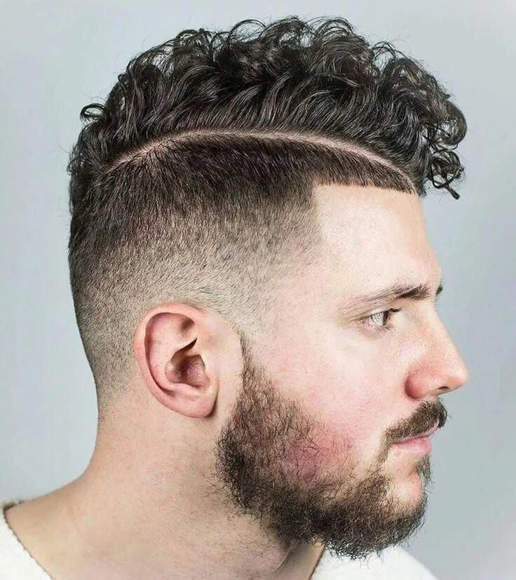 Примерить прическу мужскую High fade curly short haircut for men 2019 Haircuts for curly hair, Short curly 