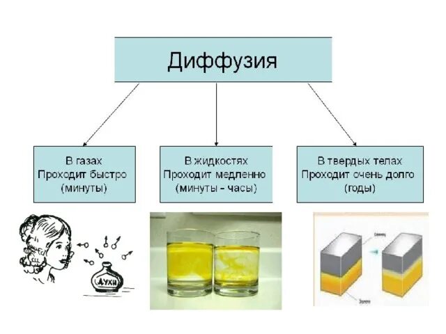 Примеры диффузии дома Презентация "Диффузия вокруг нас"