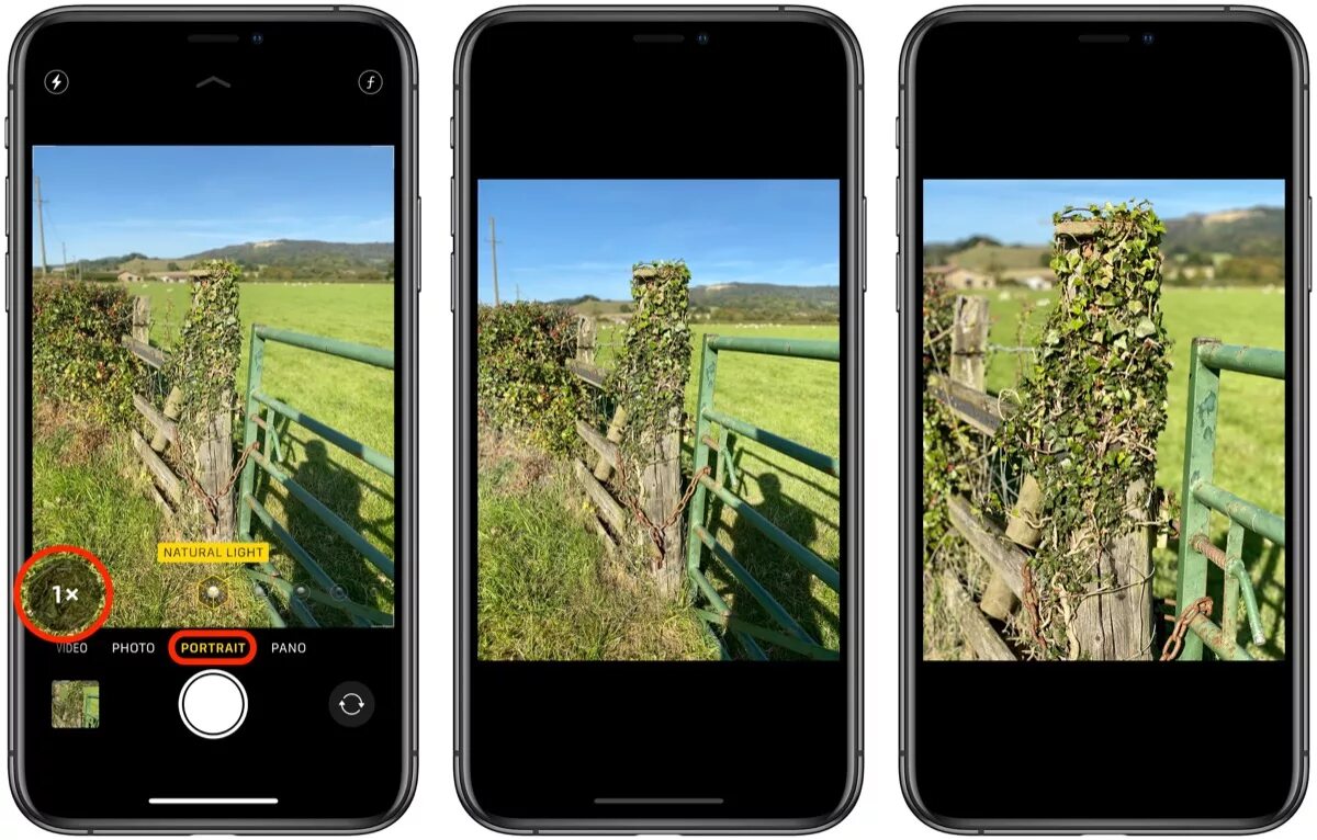 Примеры фото на айфон 13 How to Switch Focal Lengths in Portrait Mode on iPhone 11 Pro MacRumors Forums