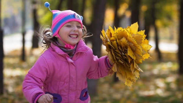 Примеры фото с листьями Why you might not want to rake your leaves this fall CBC News