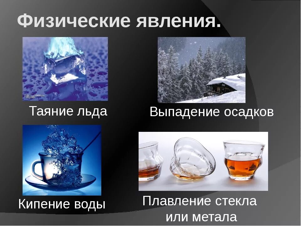 Примеры химических явлений дома Химические реакции в живой природе: найдено 90 изображений