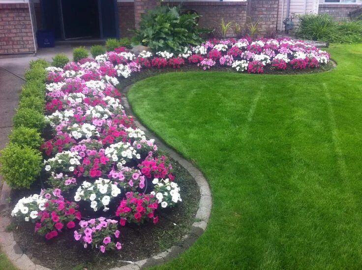 Примеры клумб фото Pin on Annuals Front yard garden design, Front garden design, Front garden lands