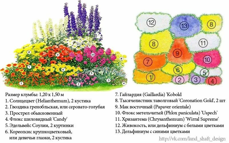 Примеры клумб из многолетников фото схемы миксбордер схема: 21 тыс изображений найдено в Яндекс.Картинках Посадка цветов, 