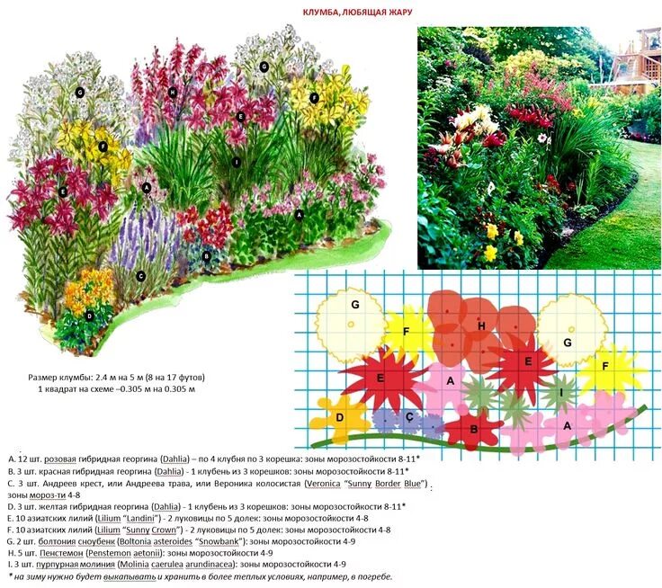 Примеры клумб из многолетников фото схемы Клумбы, Цветник план, Цветник
