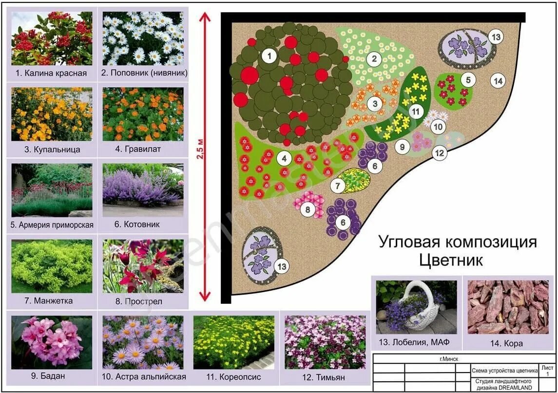 Примеры клумб из многолетников фото схемы Миксбордеры в ландшафтном дизайне, фото - Rehouz