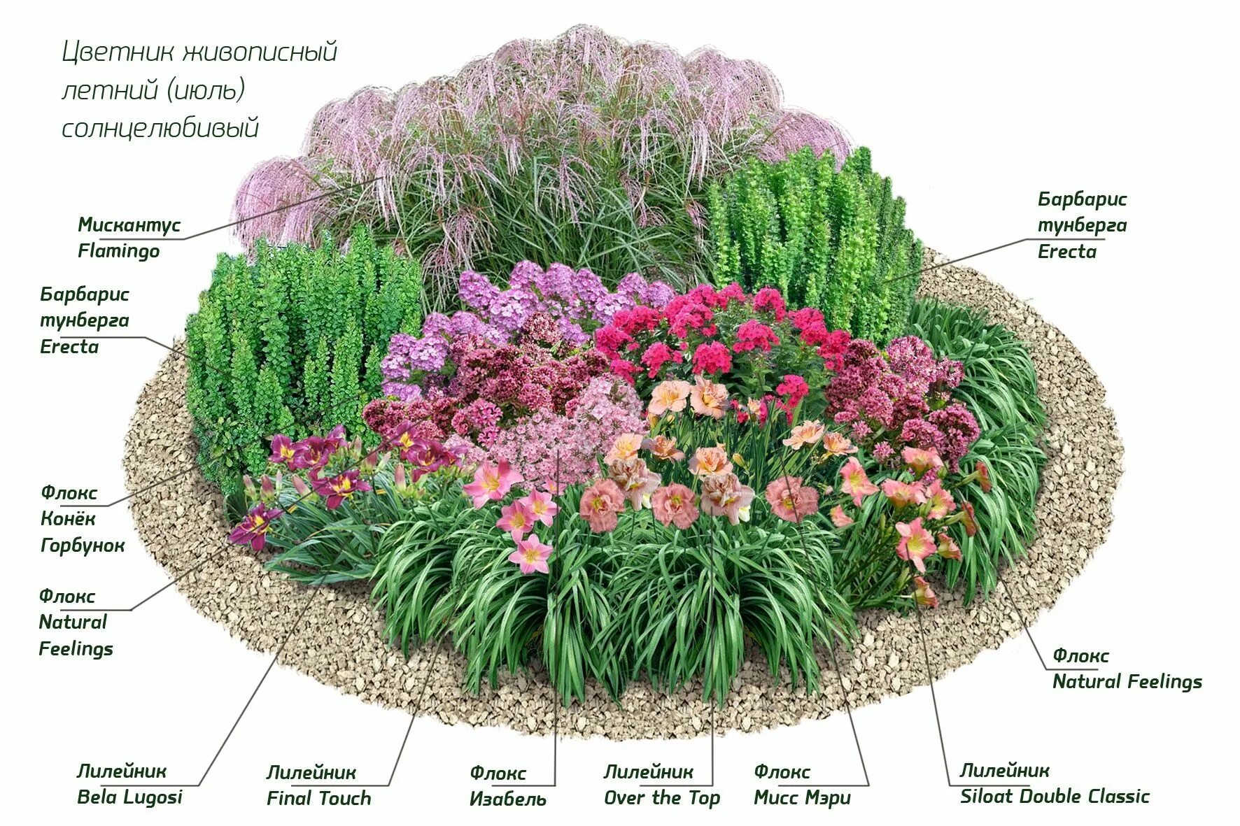 Примеры клумб из многолетников фото схемы Ландшафтный набор № 2 Flower garden plans, Garden design, Garden landscape desig