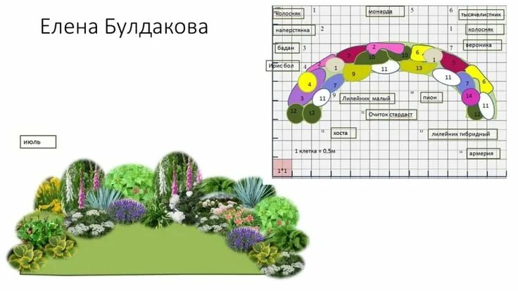 Примеры клумб из многолетников фото схемы Схемы цветников участников летнего практикума Делаем цветник непрерывного цветен