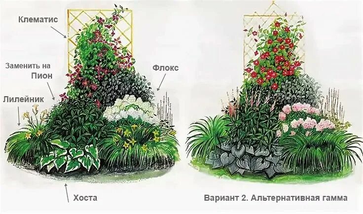 Примеры клумб из многолетников фото схемы цветники из многолетников своими руками схемы: 11 тыс изображений найдено в Янде