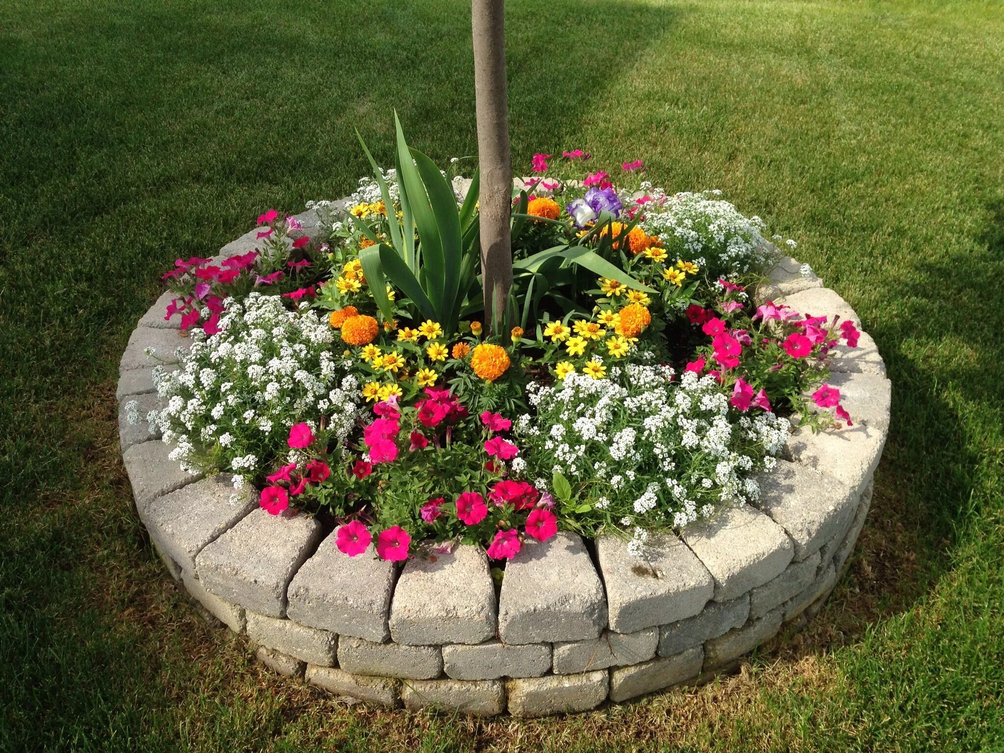 Примеры клумб на даче фото оформления #Stone #Flower bed #diy Backyard landscaping designs, Front yard garden design, 