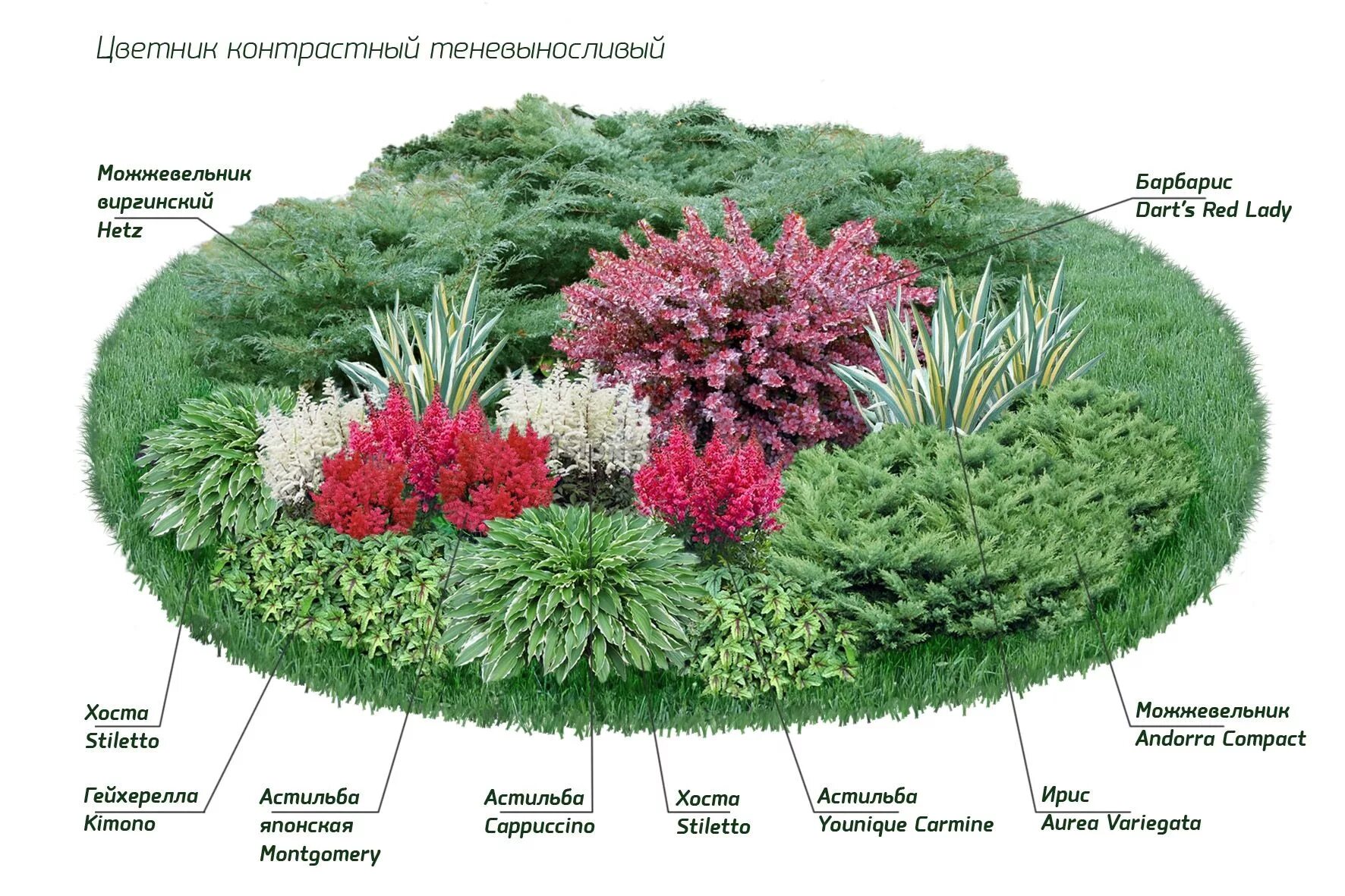 Примеры цветников из многолетников фото схемы Ландшафтный набор № 1 Flower garden design, Flower garden plans, Garden flower b