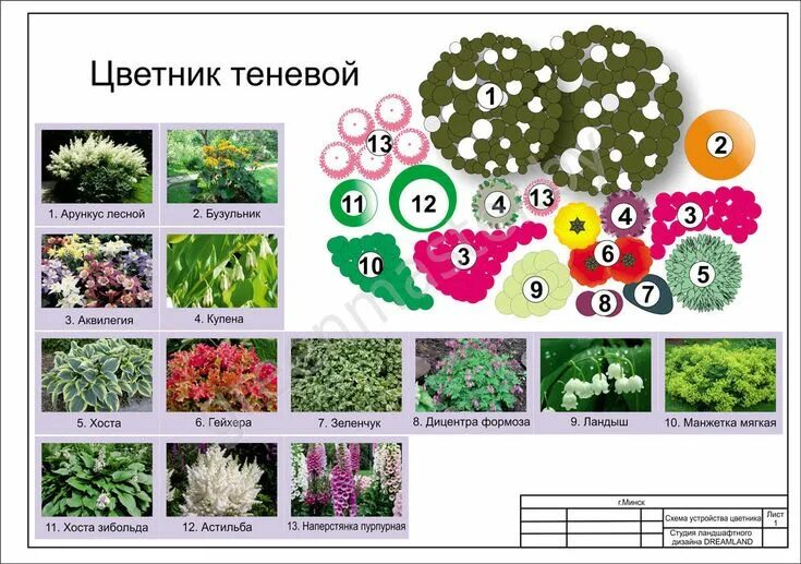 Примеры цветников из многолетников фото схемы Цветник план, Цветник, Клумбы