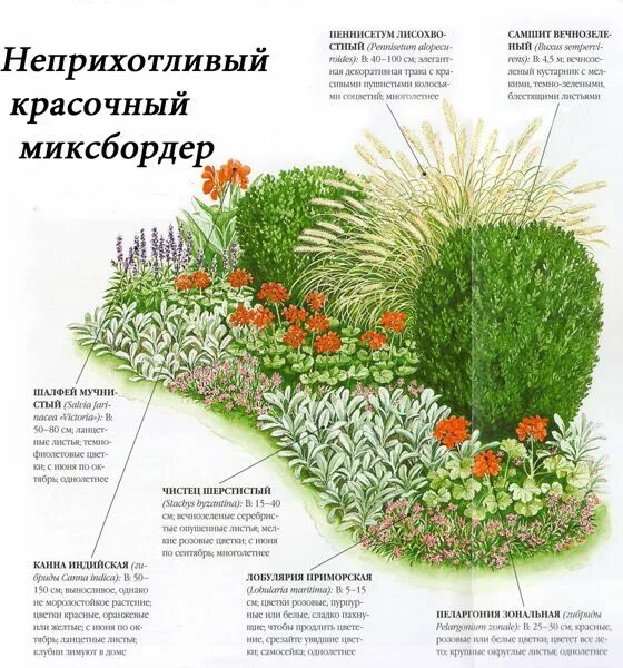 Примеры цветников из многолетников фото схемы Оформление цветников на даче Garden planning, Flower garden plans, Garden flower