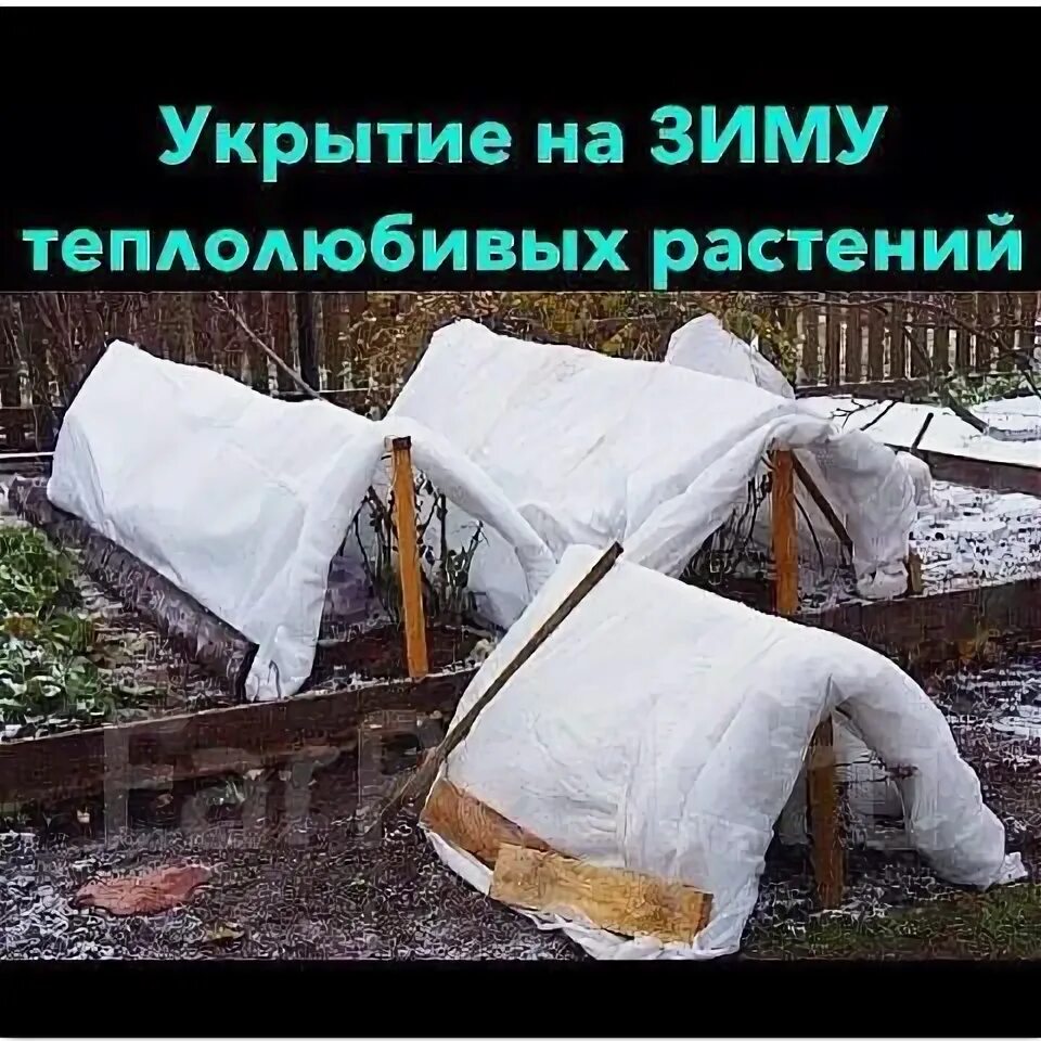 Примеры укрытия роз на зиму фото Агро полотно (спанбонд, геотекстиль) для укрытия на зиму растений, роз, новый, в