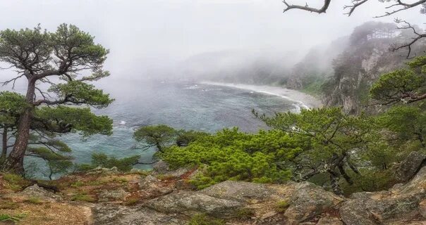 Приморье фото природы Бухта Теляковского. Японское море ph: Дмитрий Толмачев #Приморский_край #Russia 