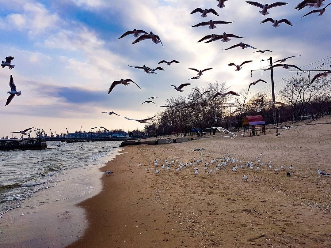 Приморский бул 27 мариуполь фото Квартиры посуточно Мариуполь on Instagram: "Городской пляж Мариуполя расположен 