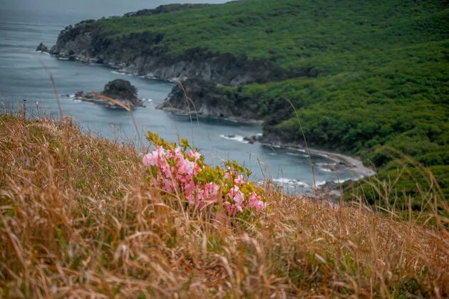 Приморский край фото природы красивые На внедорожнике к полуострову Гамова, бухты Тельяковского, Астафьева - 29600 руб