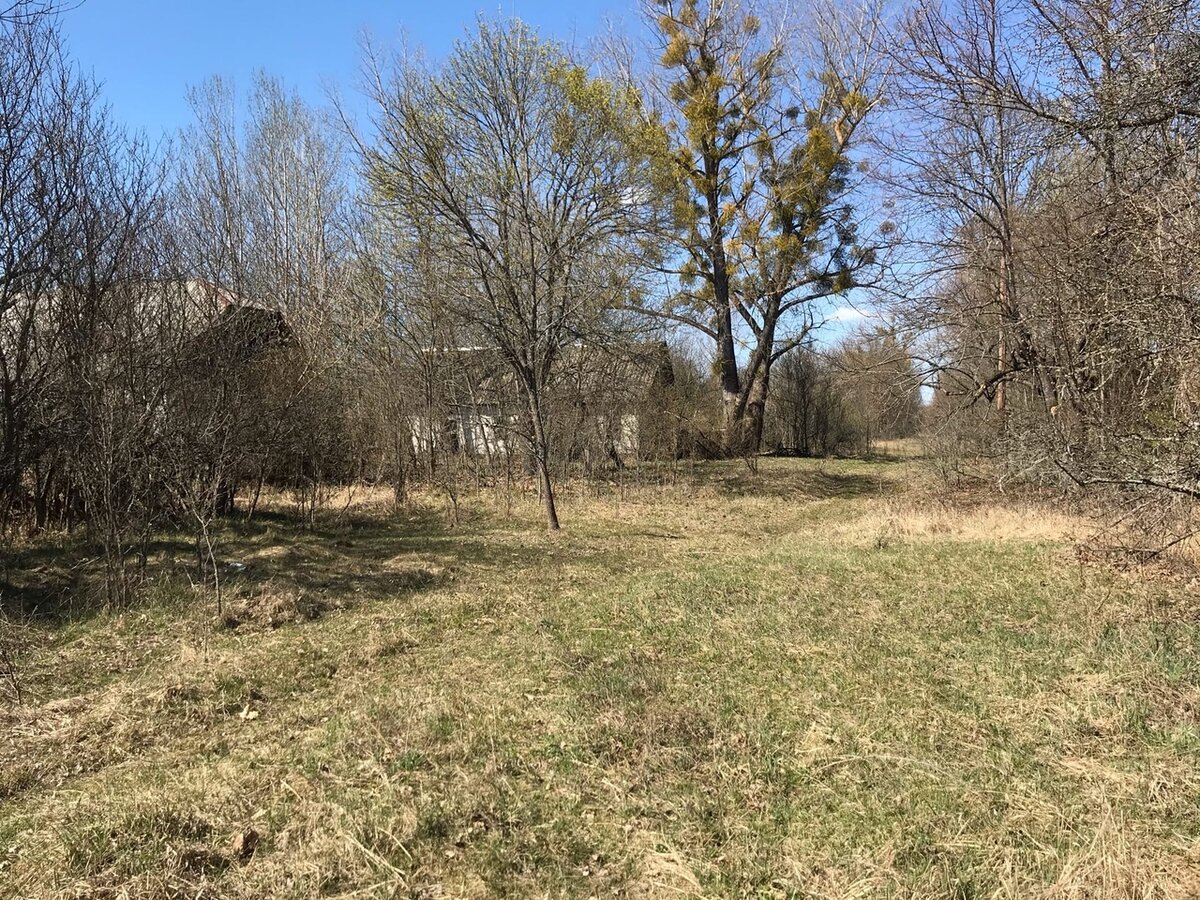 Приморский край село лубянка фото Село в Чернобыле, где недавно жили люди: деревня Лубянка и ее супер сохраны Иссл