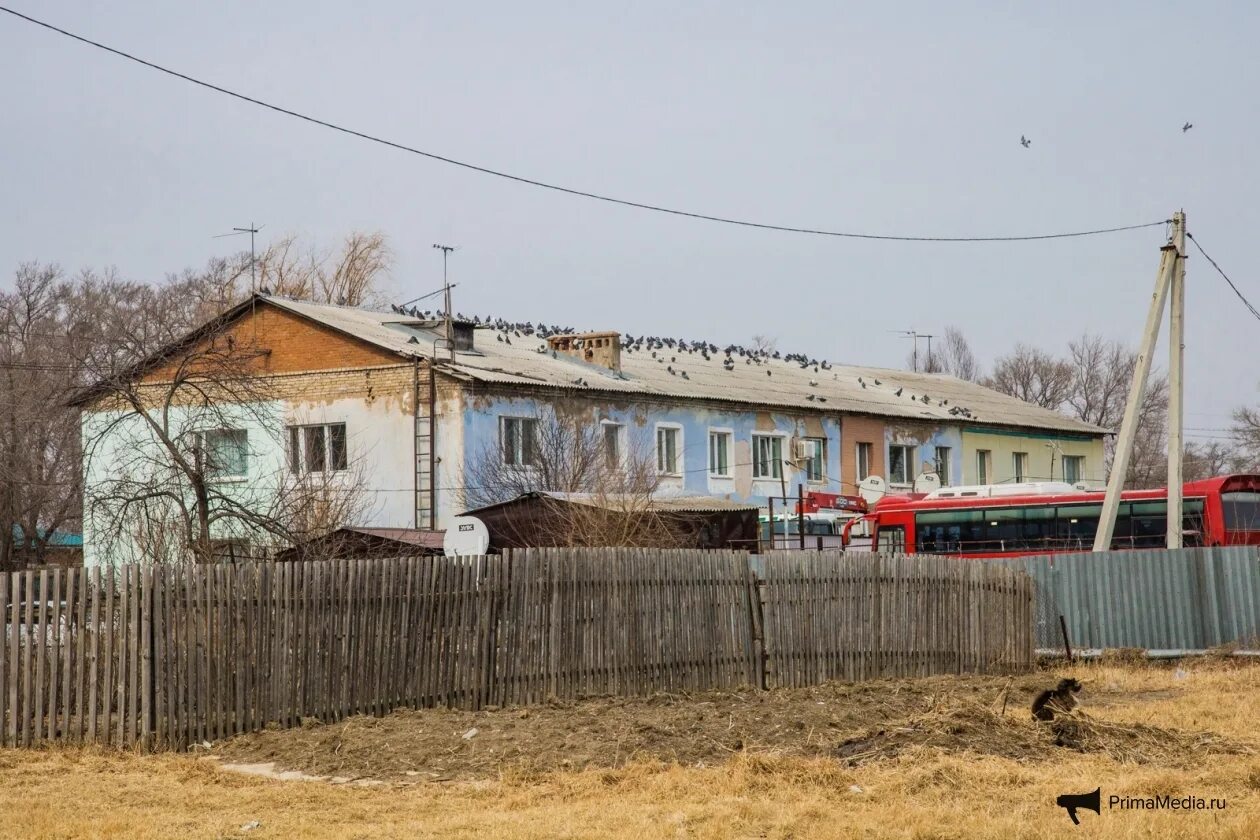 Приморский край село лубянка фото Что такое АУЕ? Чем живет село в Приморье, где "авторитеты" провели детям урок по