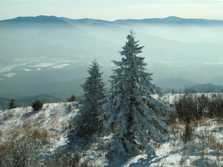 Приморский край зимой фото Хребты Приморского края Приморский край