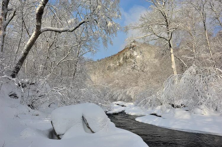 Приморский край зимой фото Второй акт Марлезонского балета: vladsv - ЖЖ