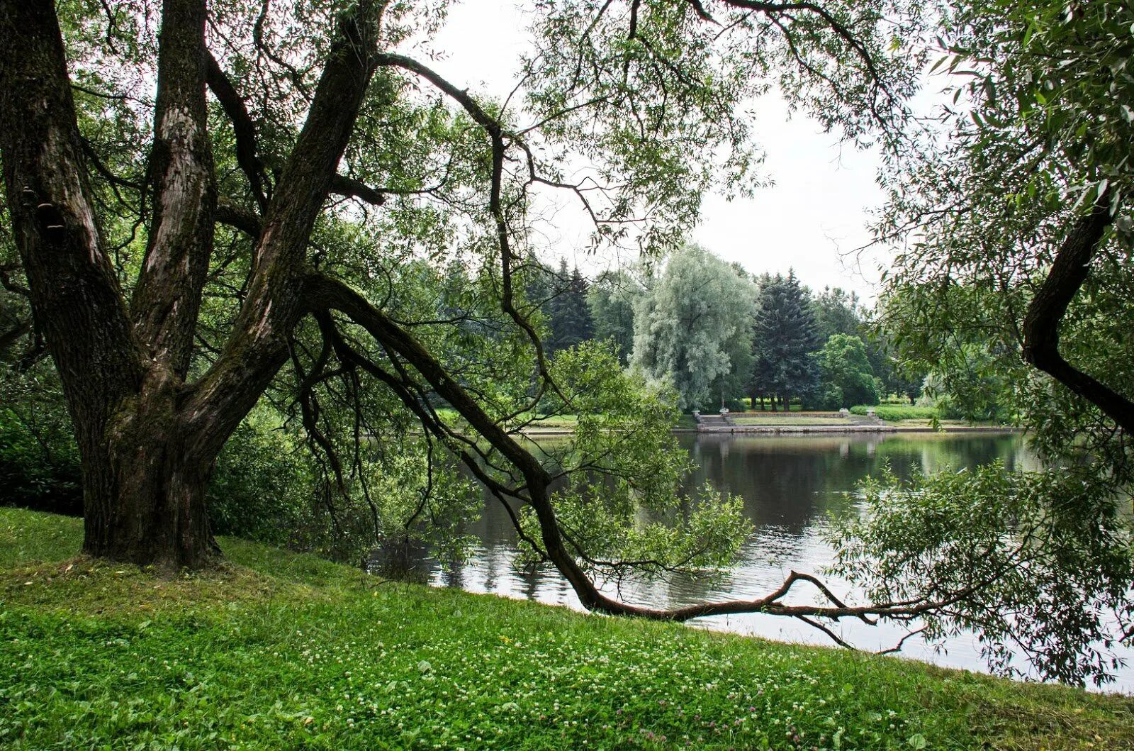 Приморский парк санкт петербург фото Приморский парк победы в санкт петербурге фото YugNash.ru