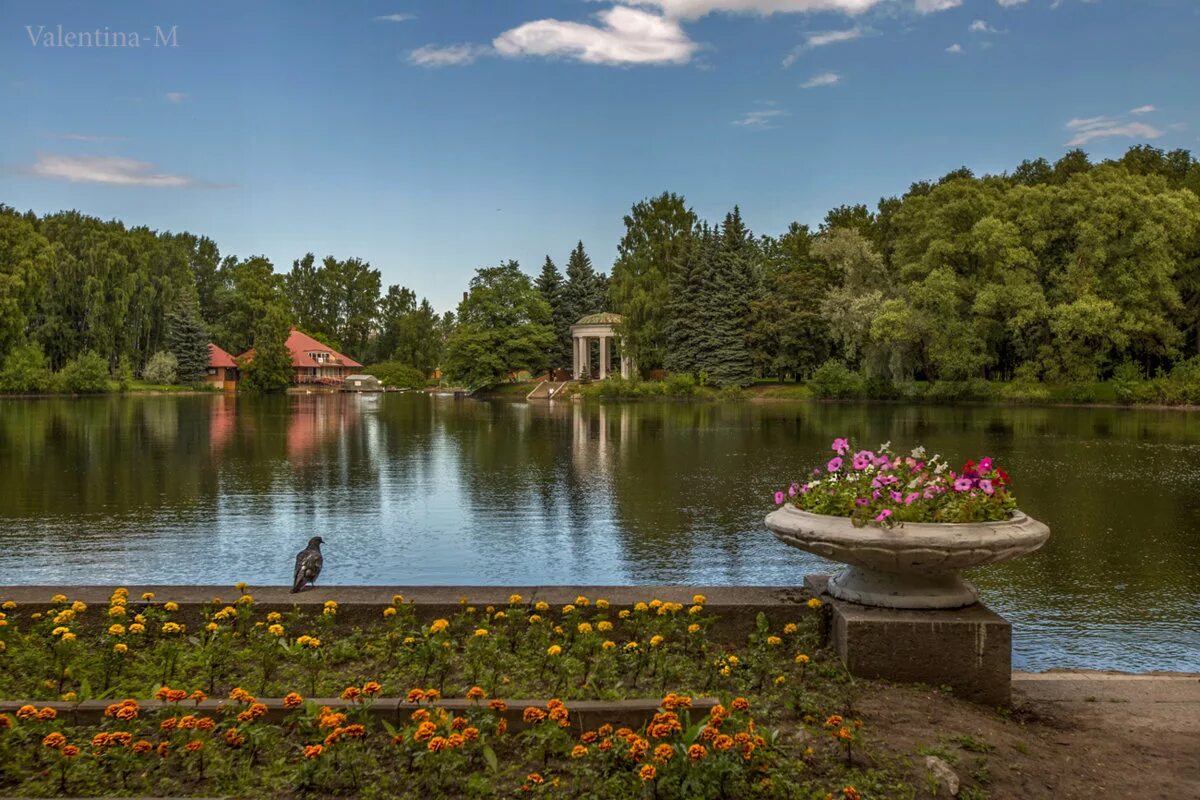 Приморский парк санкт петербург фото Приморский парк :: Valentina - M - Социальная сеть ФотоКто