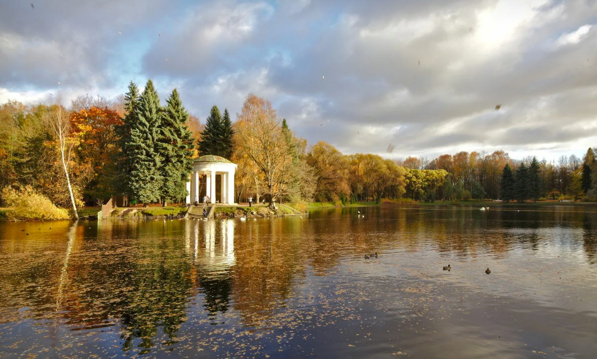 Приморский парк санкт петербург фото Три парка Санкт-Петербурга, которые не попадают в туристические справочники TRAV