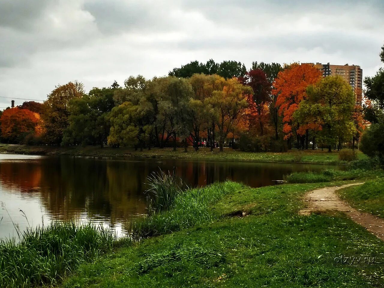 Приморский парк санкт петербург фото Осенние прогулки по паркам Санкт-Петербурга - рассказ от 24.10.19