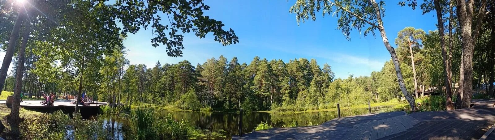 В Сосновом Бору предложили способ защиты парка "Приморский" от вандалов / Маяк. 