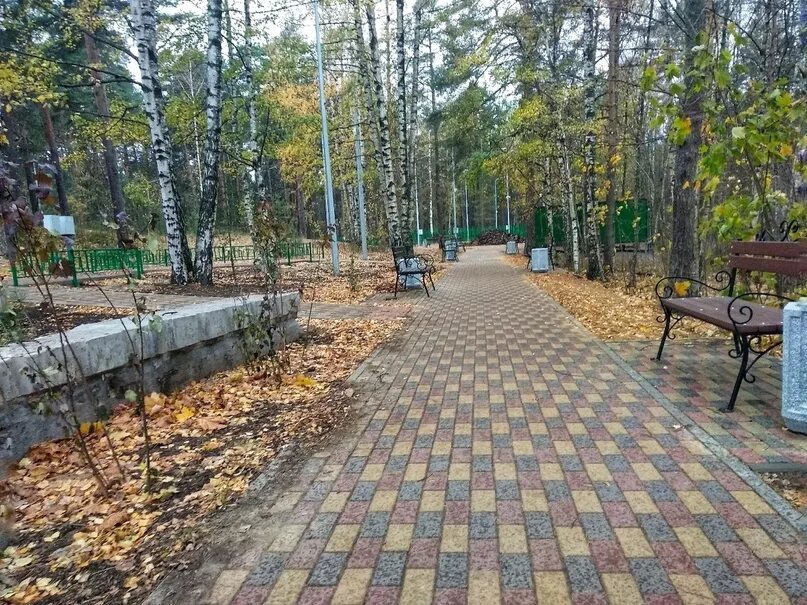 Приморский парк сосновый бор фото ленинградская область Парк в Сосновом Бору благоустроят