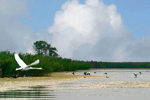 Приморско ахтарский район фото Лучшие места для рыбалки на юге России agrobook.ru