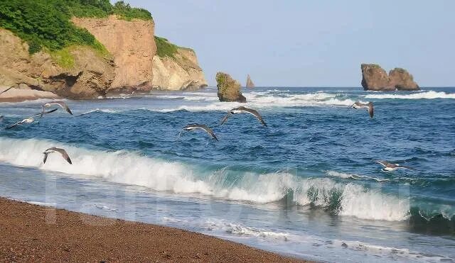 Приморское море фото "Таинственный полуостров Краббе", остров Фуругельма