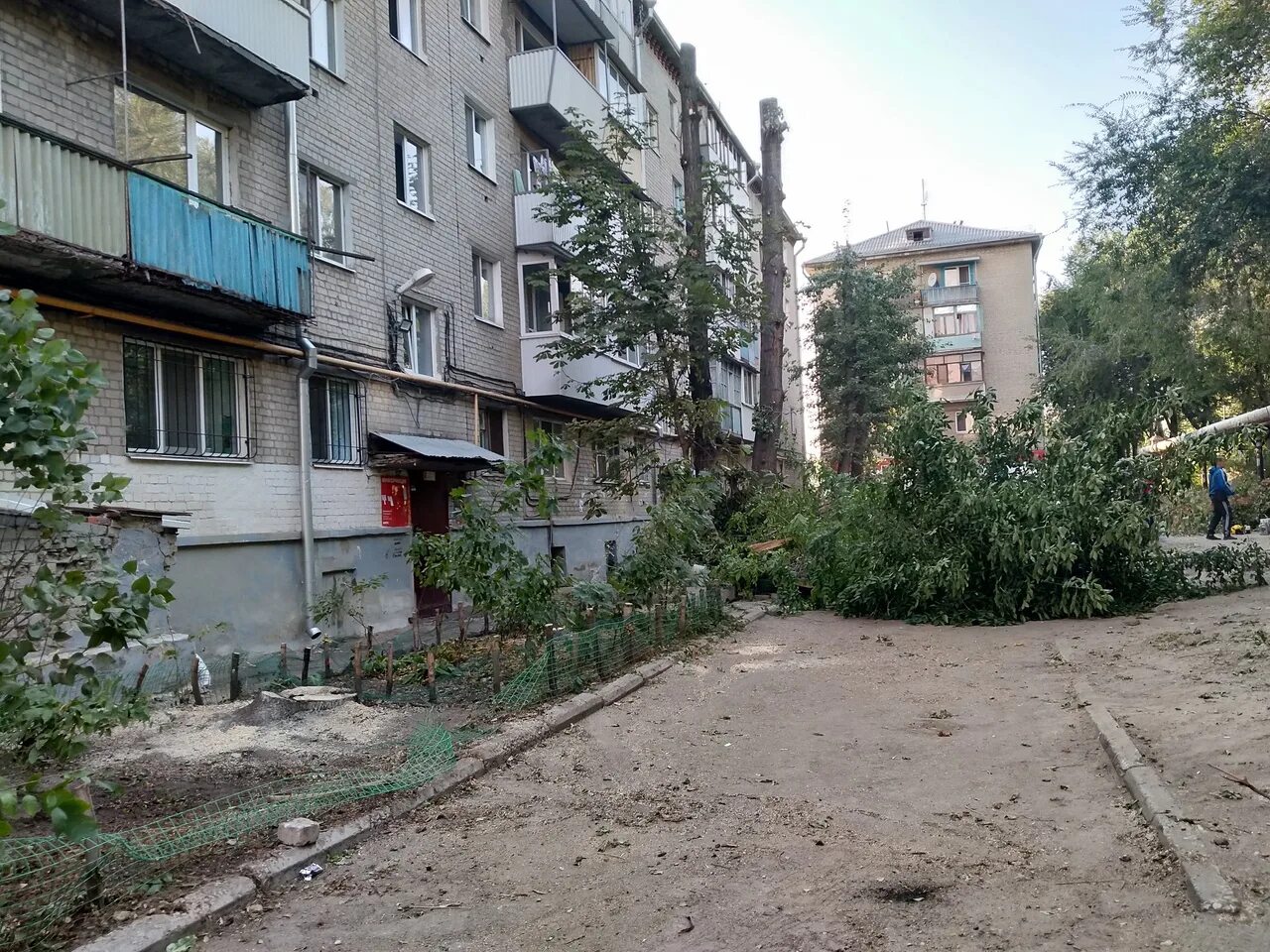 Примыкание саратов заводской район фото Теперь там только пеньки": горожанка рассказала об уничтожении деревьев во двора