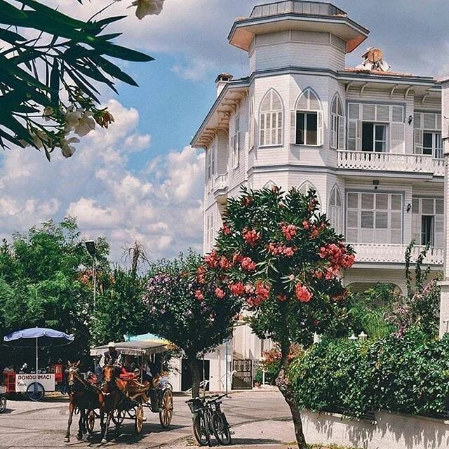 Принцевы острова бююкада фото Büyük Ada Architecture drawing, Nature inspiration, Istanbul