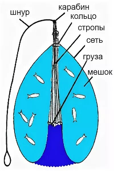 Принцип кастинговой сети схема работы Сеть кастинговая - С - Энциклопедия рыбака - База знаний Каталог "Всегда с Приро