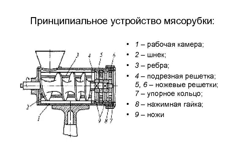 Принципиальная схема электрической мясорубки Все мясорубки электрические с металлическими шестернями