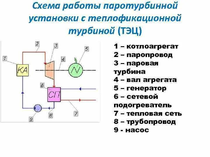 Принципиальная схема паротурбинной установки Принципиальная тепловая схема пту