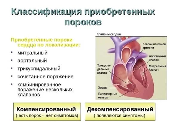 Приобретенные пороки сердца фото Приобретенный порок сердца причины у взрослых лечение