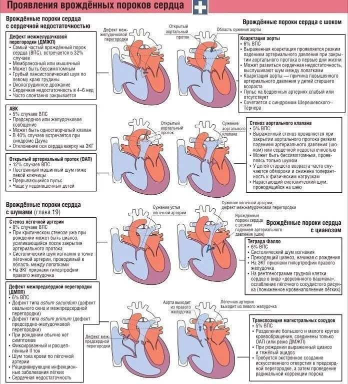Приобретенные пороки сердца фото Картинки ШУМ ПРИ ОТКРЫТОМ АРТЕРИАЛЬНОМ ПРОТОКЕ