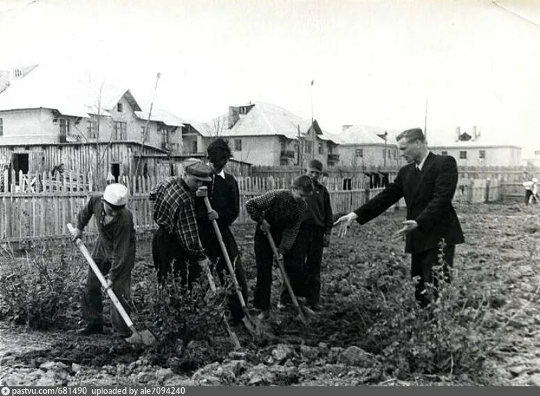 Приокский рязань фото Озеленение Приокского поселка - Retro photos