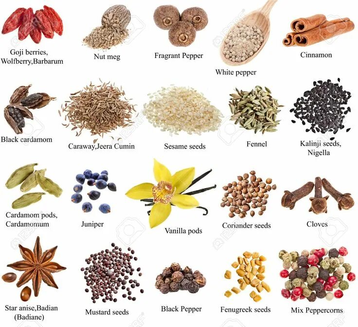 Приправы как выглядят растения spices - Google zoeken Names of spices, Spices, List of spices