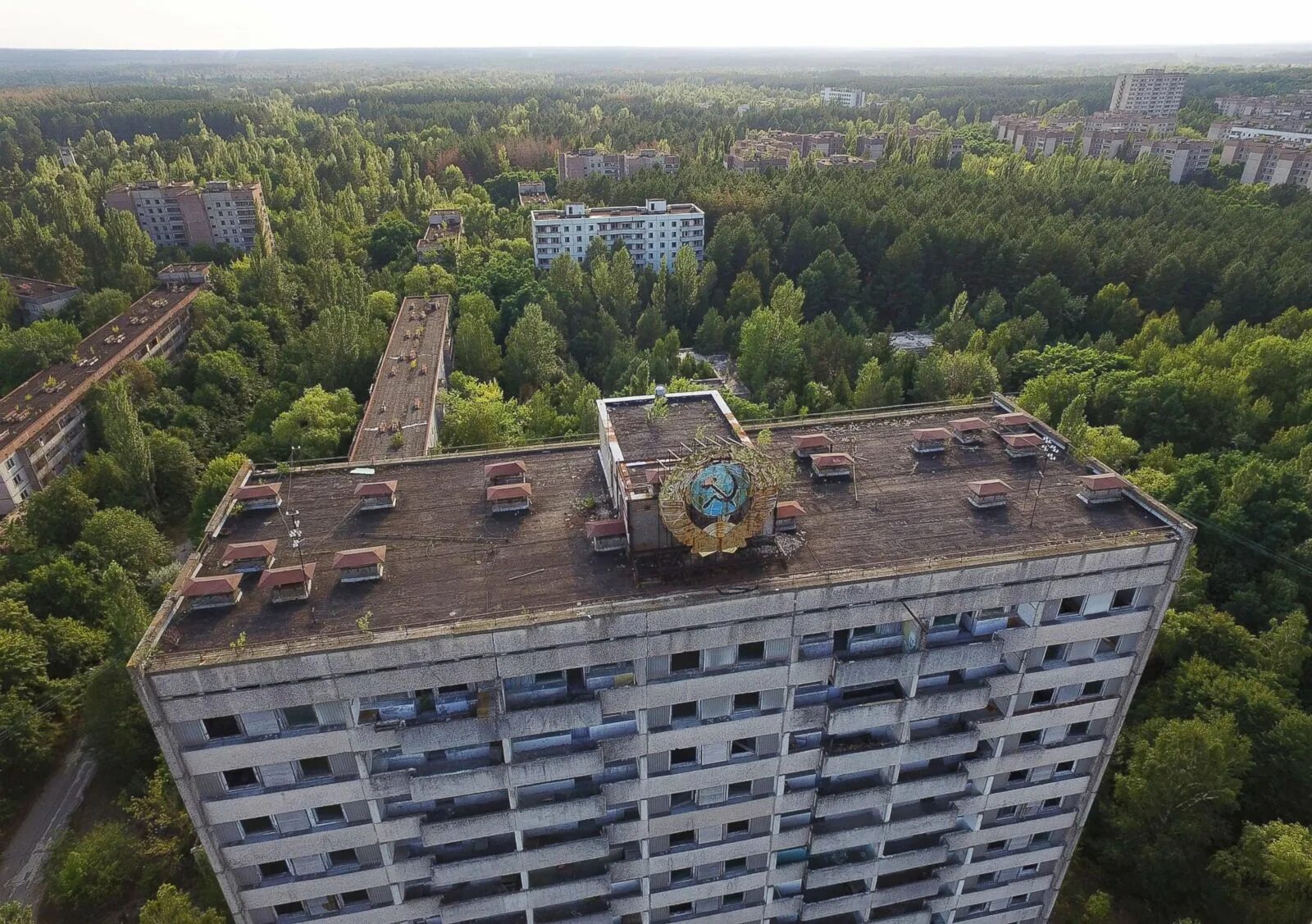 Припять сегодня 2024 фото The dogs of Chernobyl - ABC News