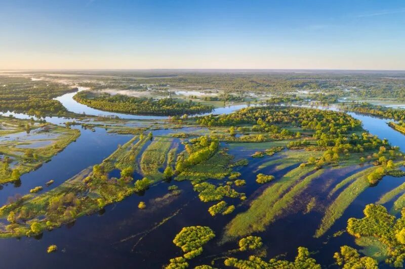 Припятский национальный парк фото ПУРБ ГОМЕЛЬСКИЙ ОБЛАСТНОЙ КОМИТЕТ ПРИРОДНЫХ РЕСУРСОВ И ОХРАНЫ ОКРУЖАЮЩЕЙ СРЕДЫ